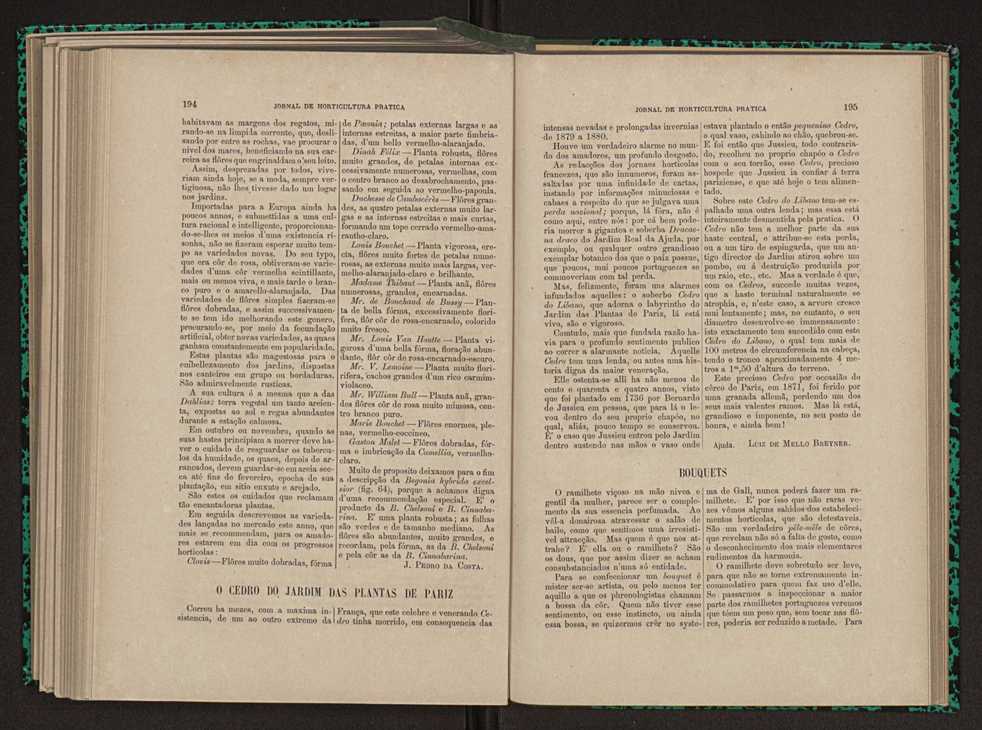 Jornal de horticultura prtica XI 119