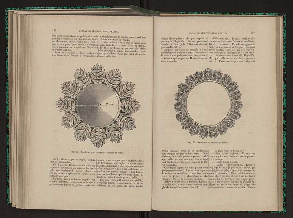 Jornal de horticultura prtica XI 120