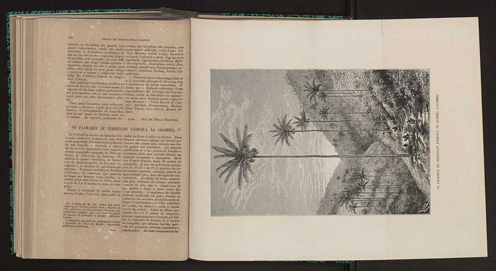 Jornal de horticultura prtica XI 122