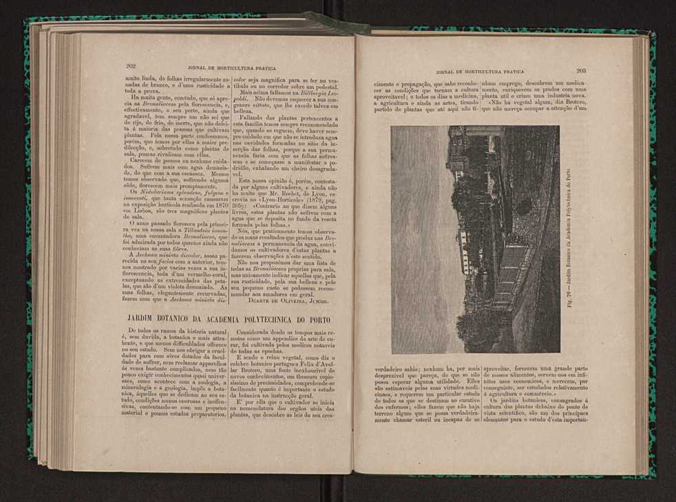 Jornal de horticultura prtica XI 124