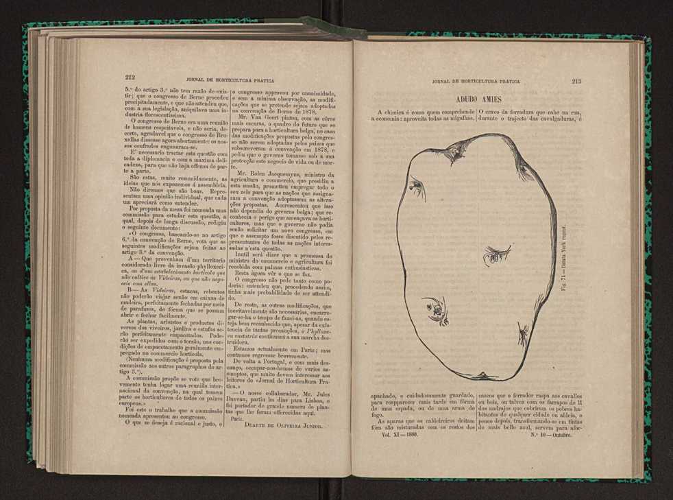 Jornal de horticultura pr�tica XI 129