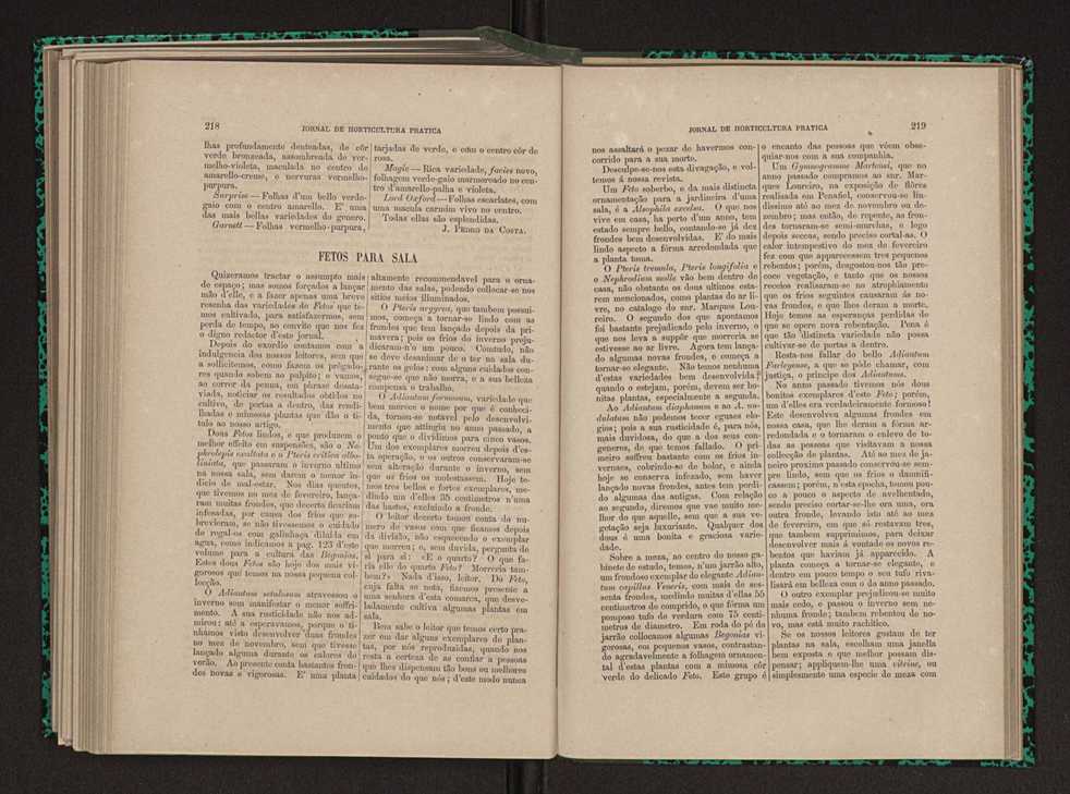 Jornal de horticultura prtica XI 132
