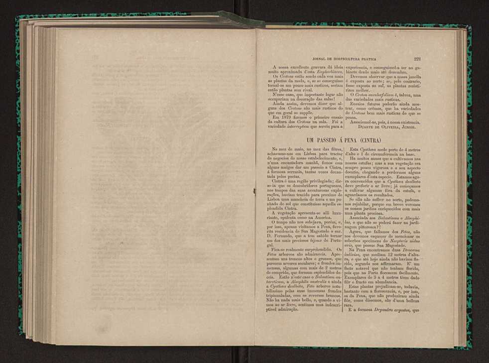 Jornal de horticultura prtica XI 134