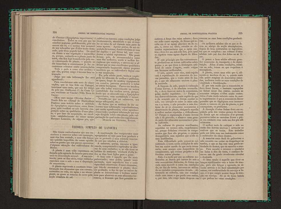 Jornal de horticultura prtica XI 136