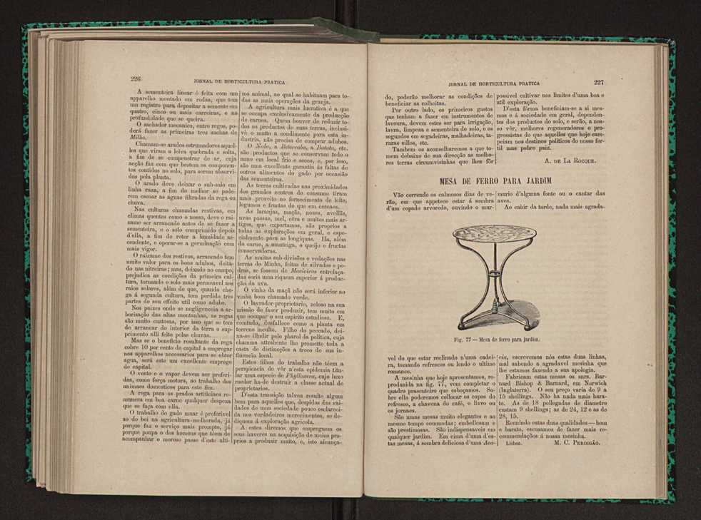 Jornal de horticultura pr�tica XI 137