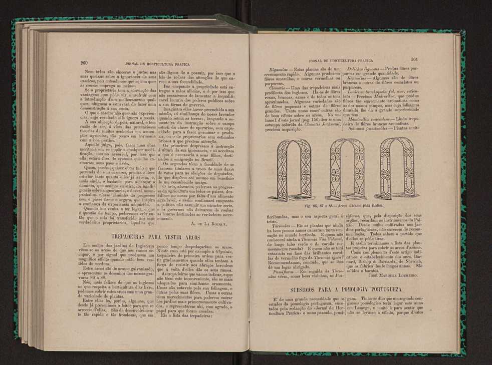 Jornal de horticultura prtica XI 155