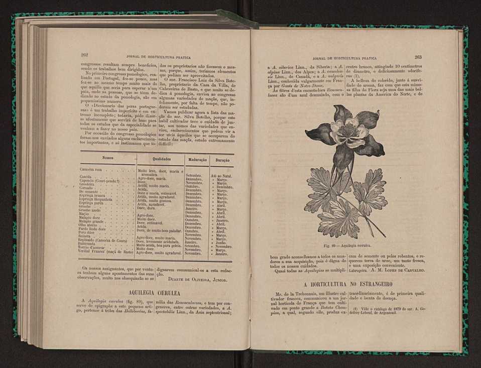 Jornal de horticultura pr�tica XI 156
