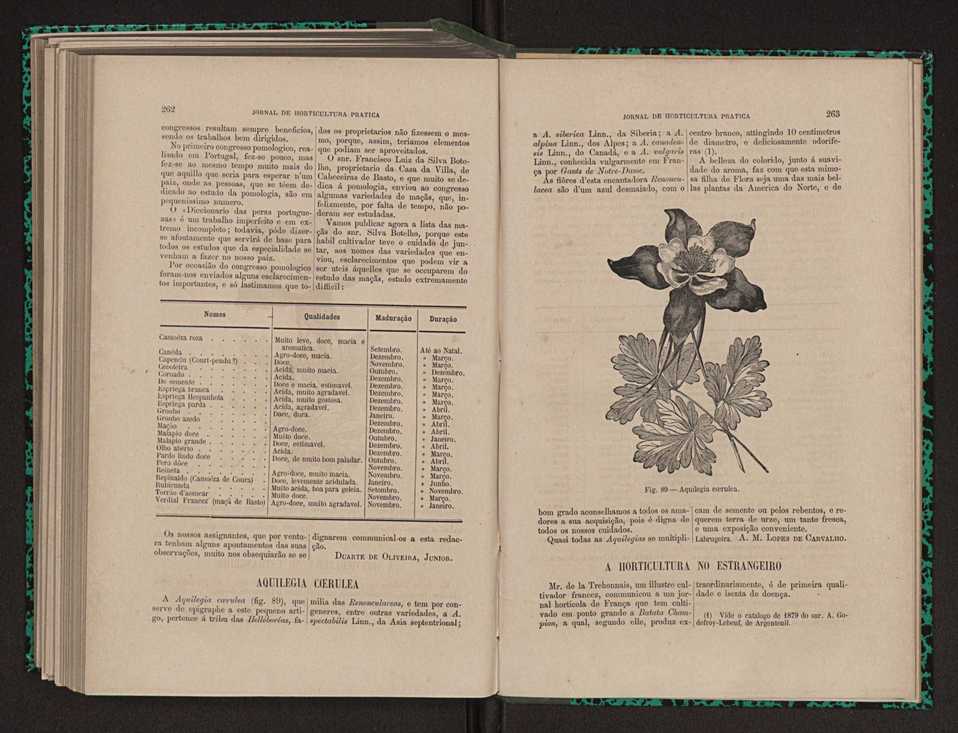 Jornal de horticultura prtica XI 156