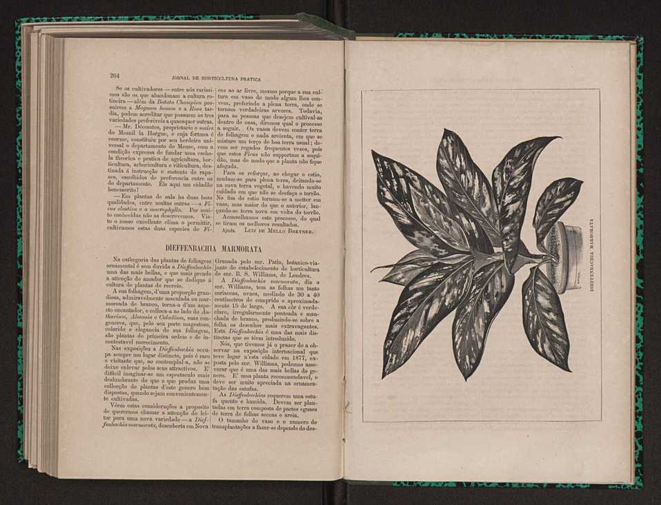 Jornal de horticultura prtica XI 157