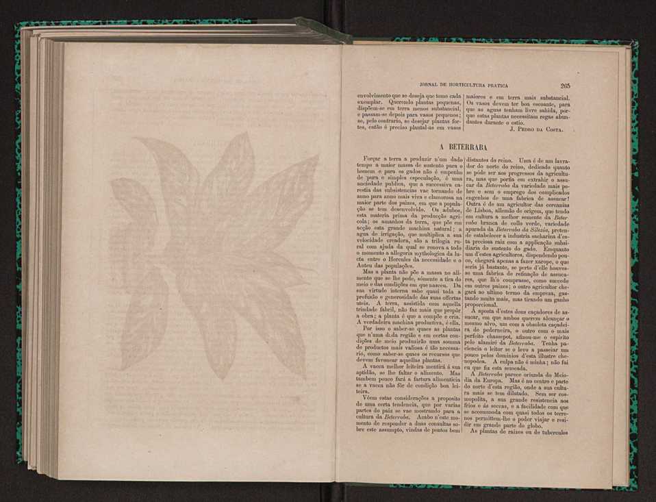 Jornal de horticultura prtica XI 158