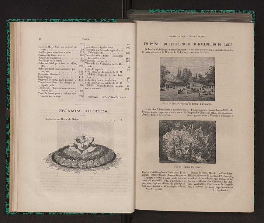 Jornal de horticultura prtica XII 14