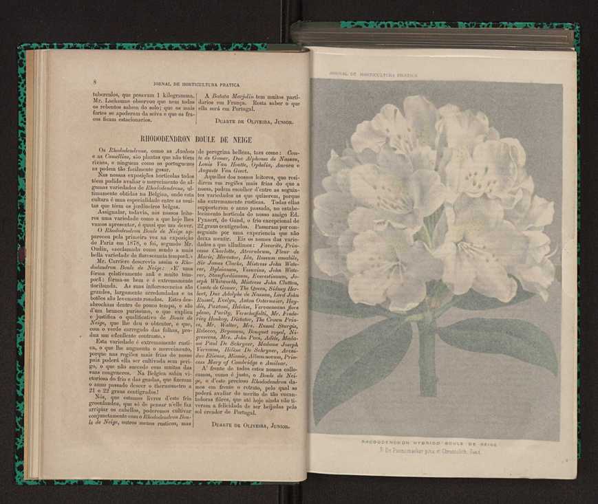 Jornal de horticultura prtica XII 18