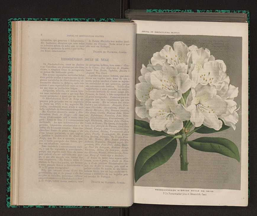 Jornal de horticultura prtica XII 19