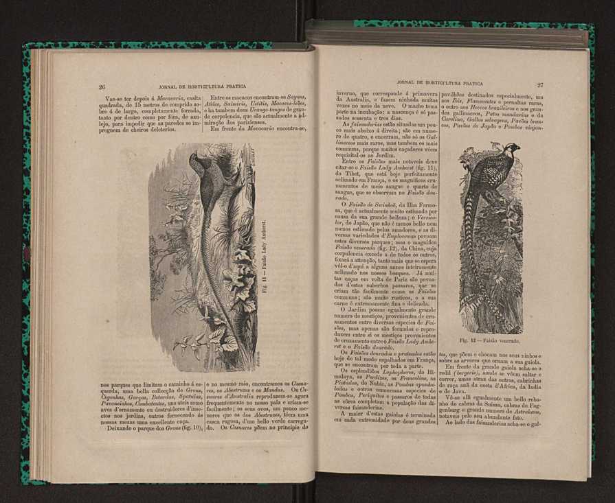 Jornal de horticultura prtica XII 30