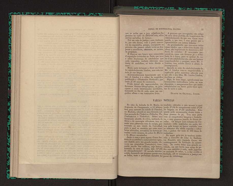 Jornal de horticultura prtica XII 34