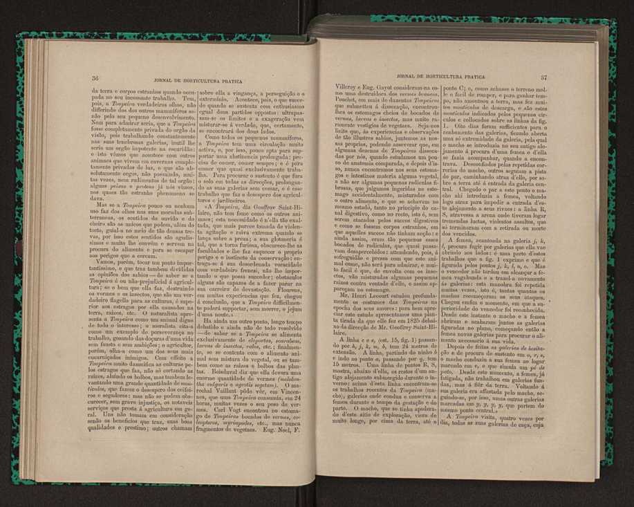 Jornal de horticultura prtica XII 36