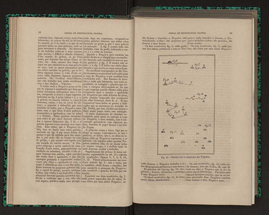 Jornal de horticultura prtica XII 37