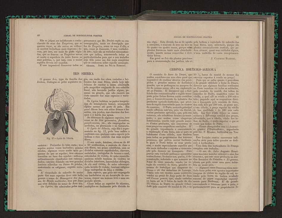 Jornal de horticultura prtica XII 38