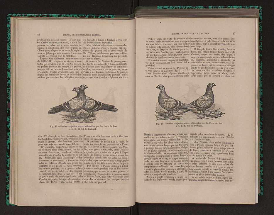 Jornal de horticultura prtica XII 41