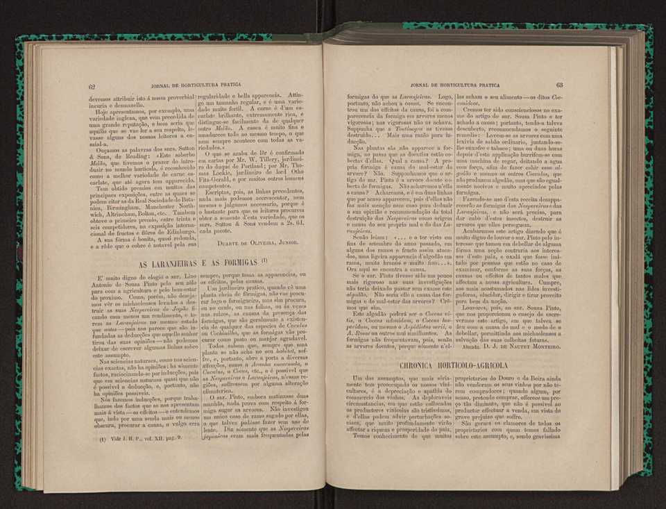 Jornal de horticultura prtica XII 50