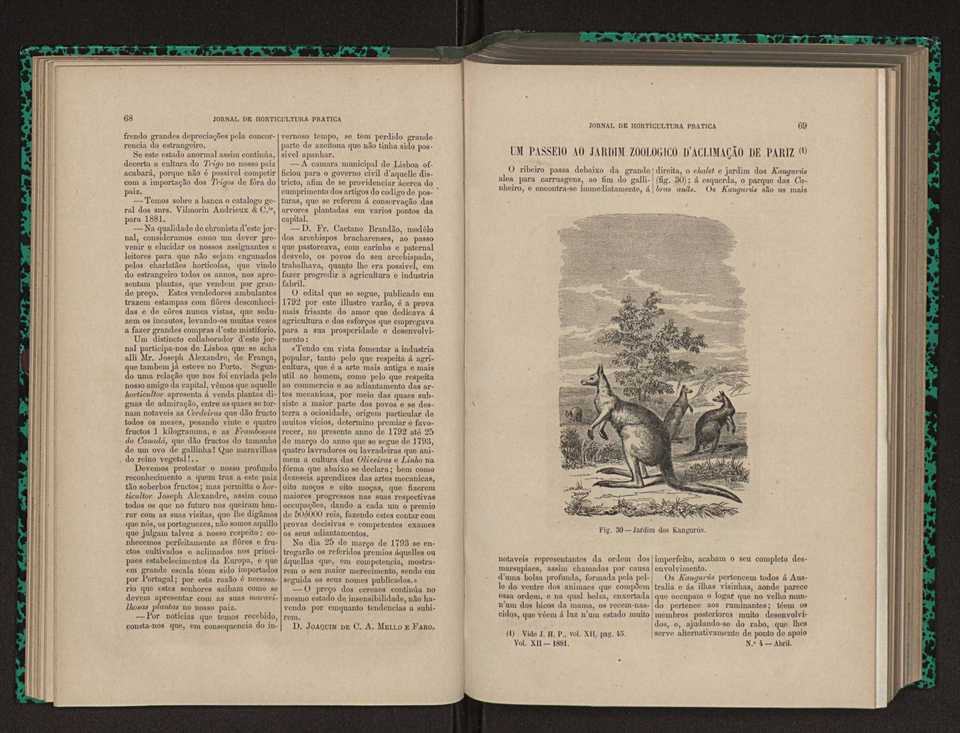 Jornal de horticultura pr�tica XII 53