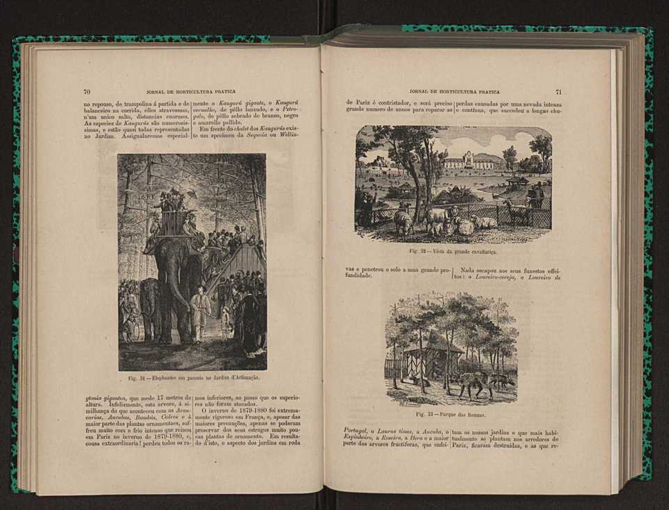 Jornal de horticultura prtica XII 54