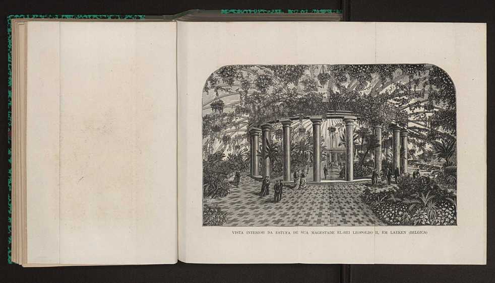Jornal de horticultura prtica XII 58