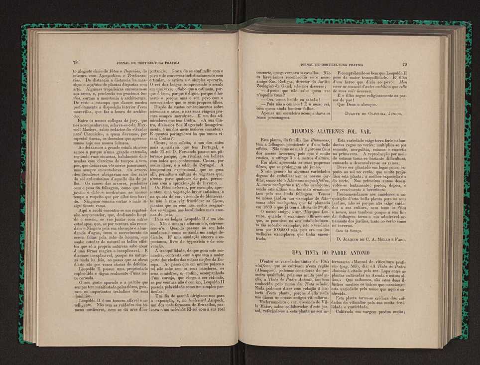 Jornal de horticultura prtica XII 60