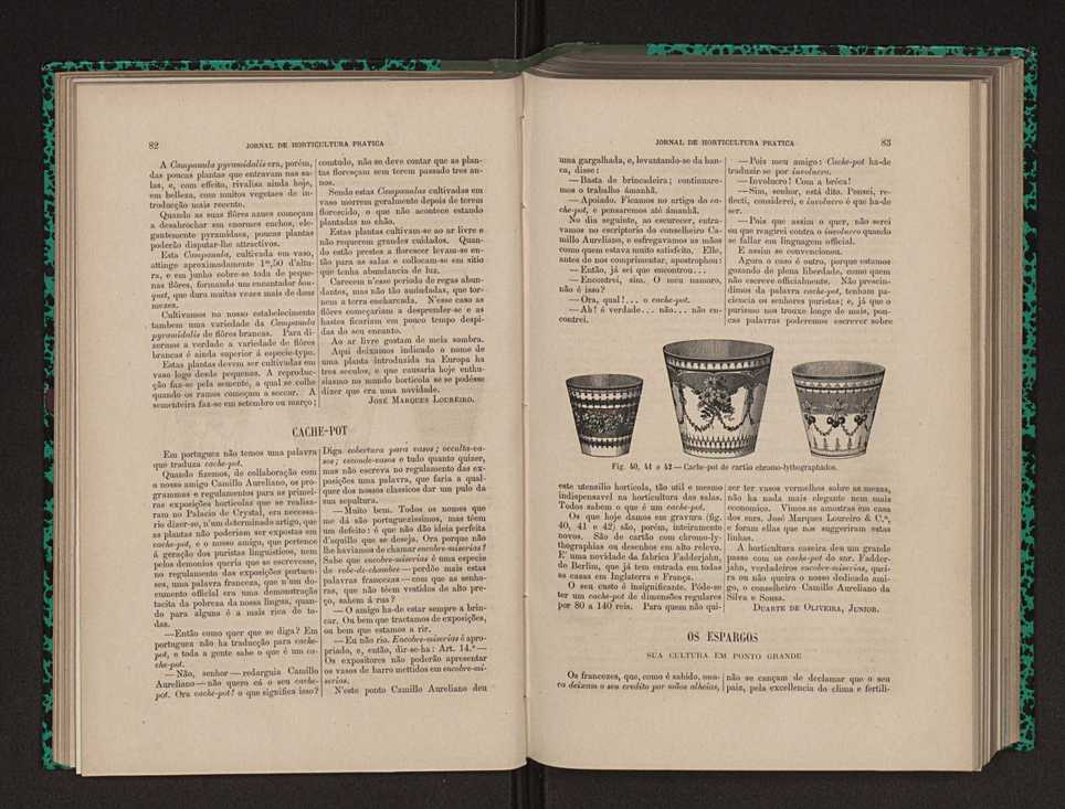 Jornal de horticultura pr�tica XII 62