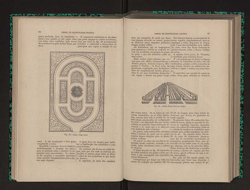 Jornal de horticultura prtica XII 64