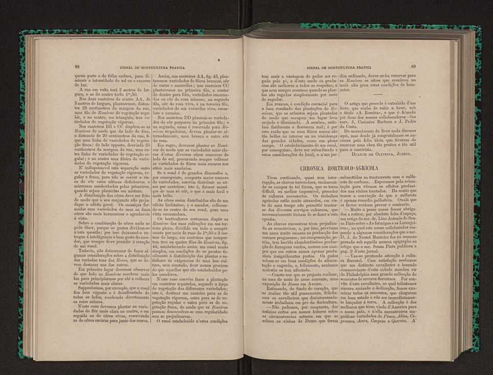 Jornal de horticultura prtica XII 65