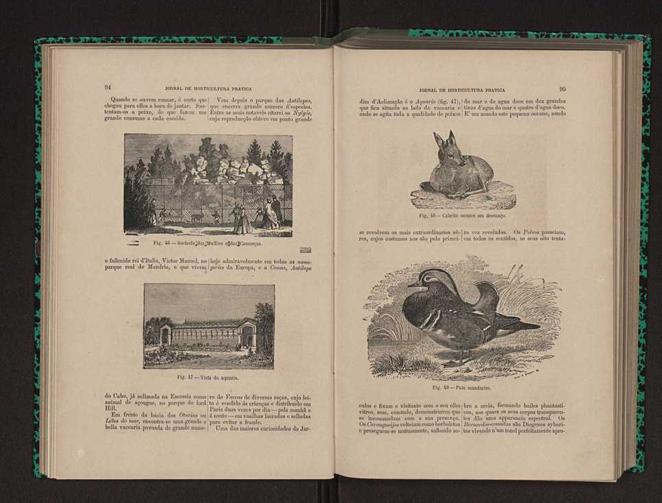 Jornal de horticultura prtica XII 69