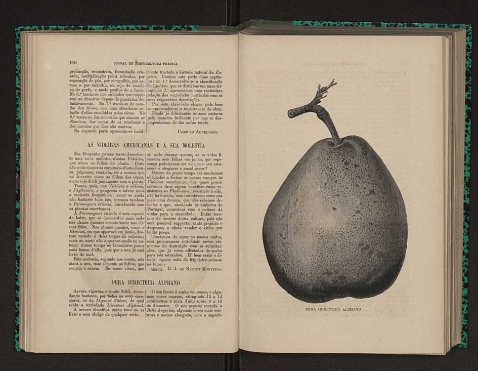 Jornal de horticultura pr�tica XII 77