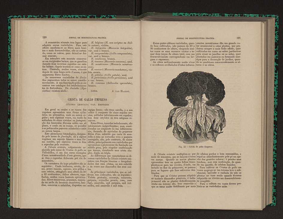 Jornal de horticultura prtica XII 82