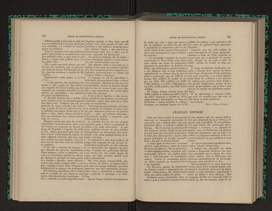 Jornal de horticultura prtica XII 87