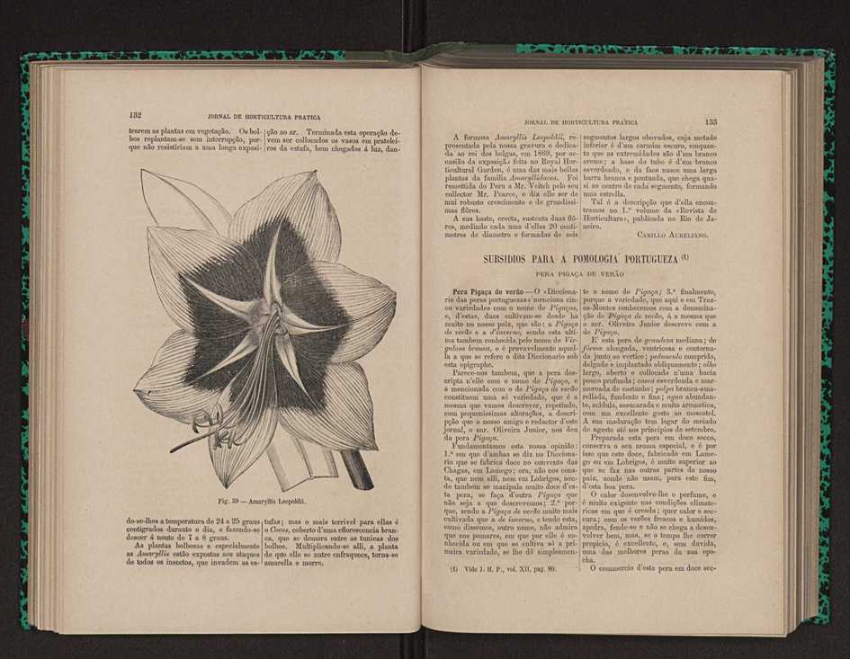 Jornal de horticultura prtica XII 88