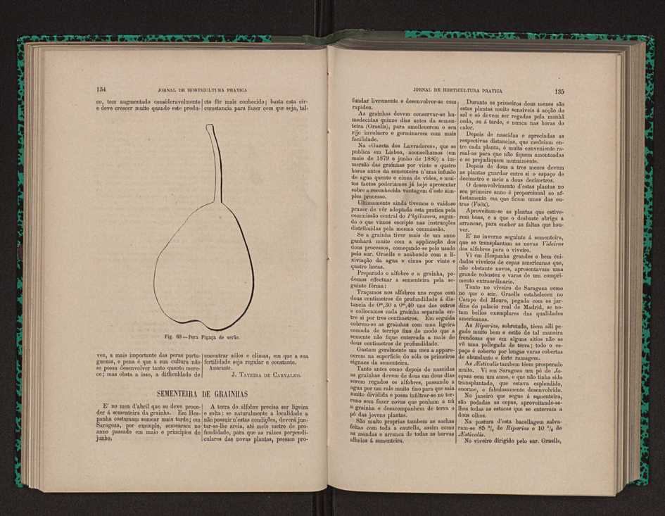 Jornal de horticultura prtica XII 89