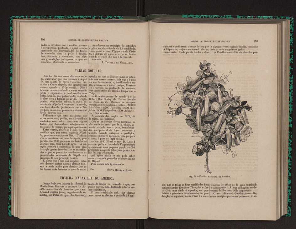 Jornal de horticultura prtica XII 99