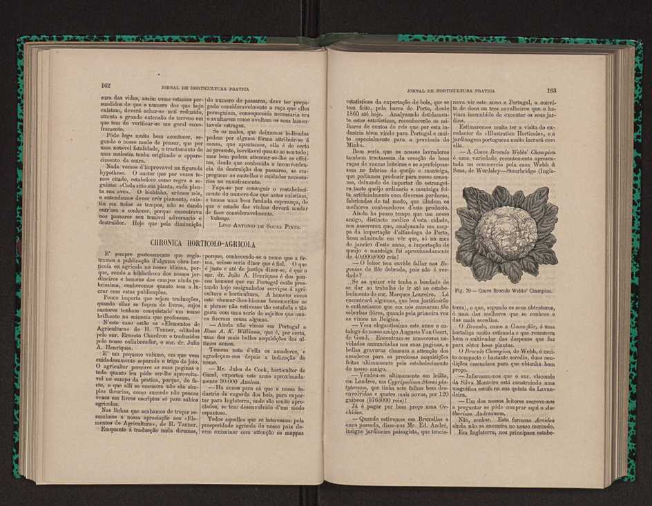 Jornal de horticultura prtica XII 104