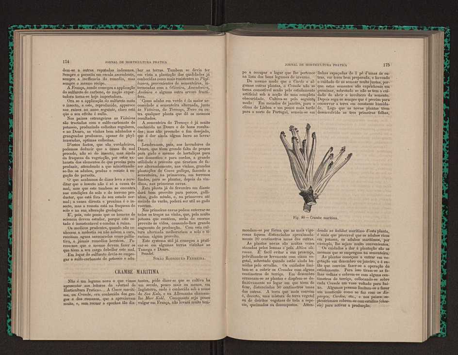 Jornal de horticultura prtica XII 111
