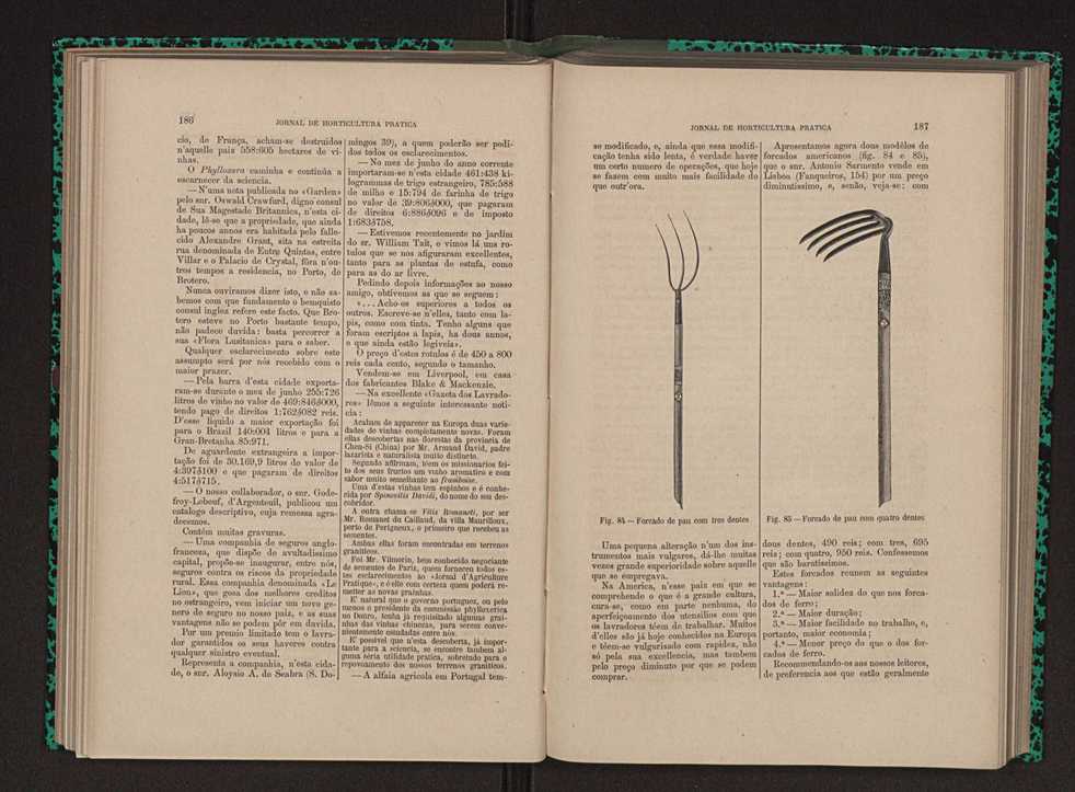 Jornal de horticultura prtica XII 117