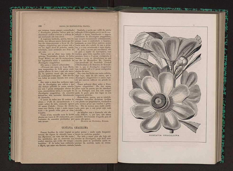 Jornal de horticultura prtica XII 122