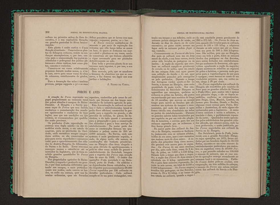 Jornal de horticultura prtica XII 126
