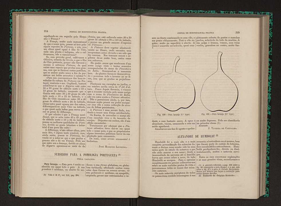 Jornal de horticultura prtica XII 132