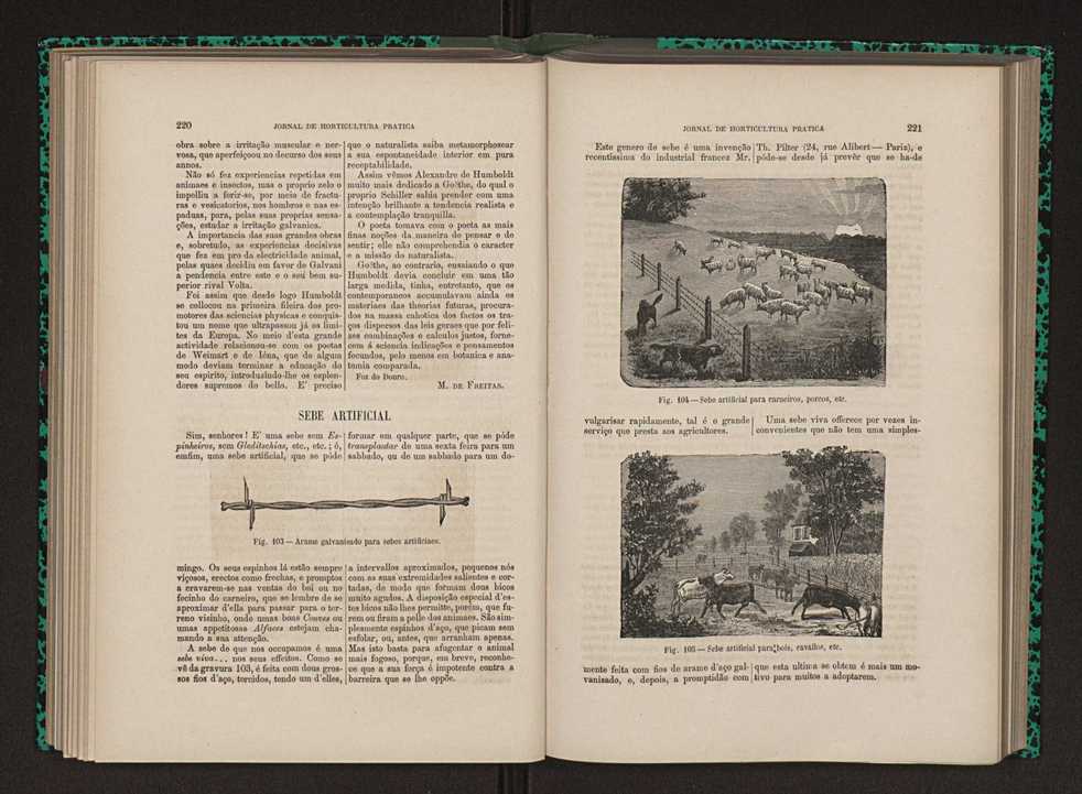 Jornal de horticultura prtica XII 136