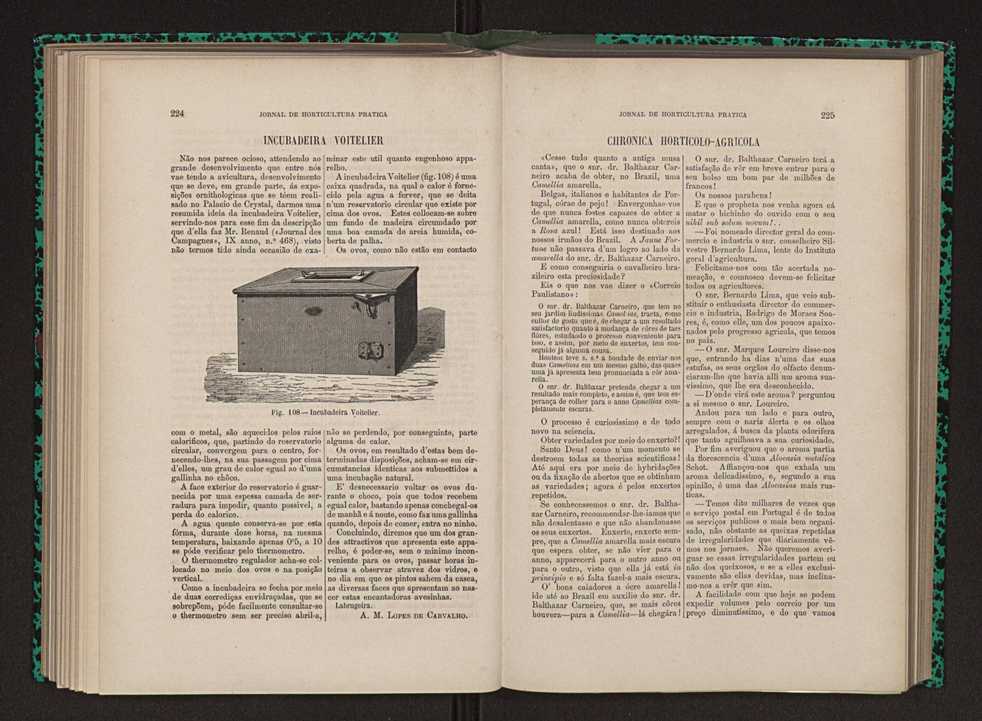 Jornal de horticultura pr�tica XII 138