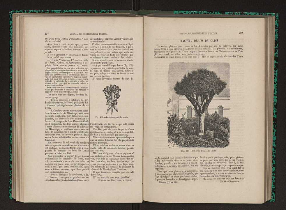 Jornal de horticultura pr�tica XII 140