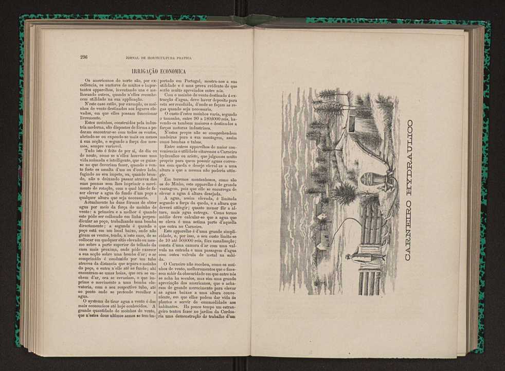 Jornal de horticultura pr�tica XII 144