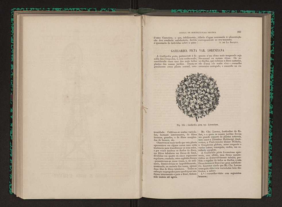 Jornal de horticultura prtica XII 146