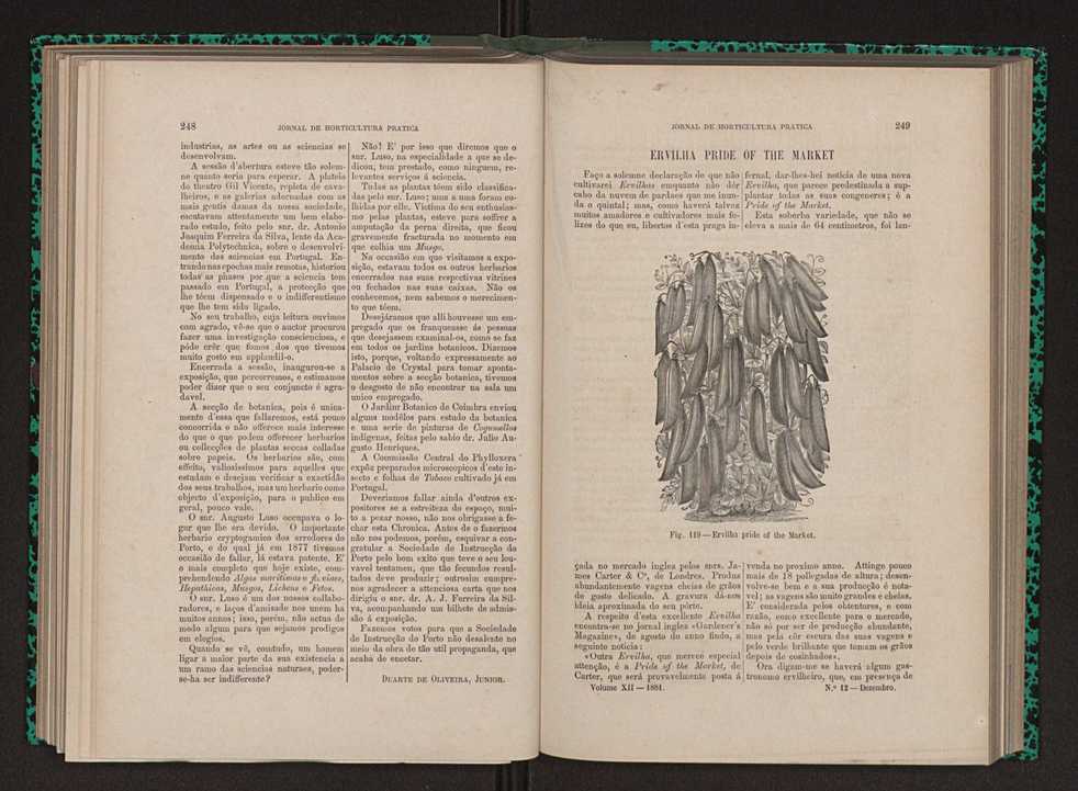 Jornal de horticultura prtica XII 152